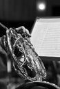 French horn in the hands of a musician