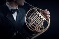 French horn player. Classical musicians playing orchestra instruments Royalty Free Stock Photo