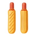 French hotdog with ketchup. Vector color realistic isolated illustration.