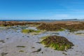 French landscape - Bretagne Royalty Free Stock Photo