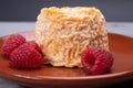 French Langres soft cows crumbly cheese with washed rind structure made in Champagne - Ardenne region