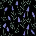 French lavender decorative pattern isolated on black background. Seamless pattern for fabric, paper and other printing