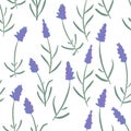 French lavender decorative pattern isolated on white background. Seamless pattern for fabric, paper and other printing