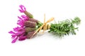 French lavender Royalty Free Stock Photo