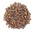 French lentils isolated on white background. Dry puy lentil grains pile. Top view. Royalty Free Stock Photo