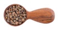 French lentils in wooden spoon, isolated on white background. Dry puy lentil grains pile. Top view. Royalty Free Stock Photo