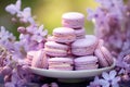 French lilac macarons with lavender flavour and fresh lavender flowers. Delicious dessert