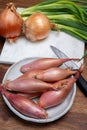 French long pink shallots grappe onion from Brittany, France