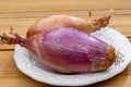 French long pink shallots grappe onion from Brittany, France close up