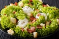 French Lyons Lyonnaise salad with lettuce, croutons and poached Royalty Free Stock Photo