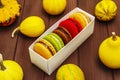 French macarons in autumn colors