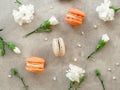 French macaroon cakes and white flowers