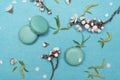 French macaroon dessert and flowers on a turquoise background