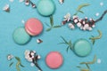 French macaroon dessert and flowers on a turquoise background