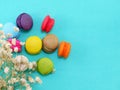 French macaroons with dryied flower and copy space background Royalty Free Stock Photo