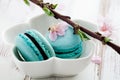 French macaroons