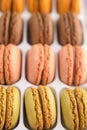 French macaroons, varied selection, colorful. Vertical photo Royalty Free Stock Photo