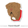 french mastiff. Vector illustration decorative design