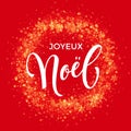 French Merry Christmas Joyeux Noel decoration ornament snowflake wreath glitter