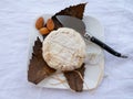 French mountains cheese banon wrapped in chestnut leaves made in Provence from unpasteurised goat milk