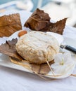 French mountains cheese banon wrapped in chestnut leaves made in Provence from unpasteurised goat milk