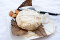 French mountains cheese banon wrapped in chestnut leaves made in Provence from unpasteurised goat milk