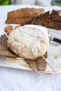 French mountains cheese banon wrapped in chestnut leaves made in Provence from unpasteurised goat milk