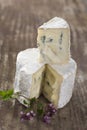 French musty blue cheese from Auvergne