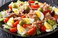 French nicoise salad with fresh vegetables, eggs, tuna and anchovies close up. horizontal