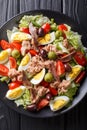 French nicoise salad with fresh vegetables, eggs, tuna and anchovies close up. Vertical top view