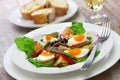 French nicoise salad Royalty Free Stock Photo
