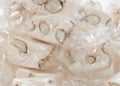 French nougat Royalty Free Stock Photo