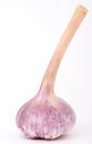 French onion garlic Royalty Free Stock Photo