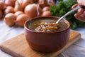 French Onion Soup Royalty Free Stock Photo