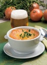 French onion soup Royalty Free Stock Photo