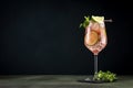 French orange mule, alcoholic cocktail with vodka, lime juice, ginger beer, syrup, red orange juice and ice cubes, garnished with Royalty Free Stock Photo