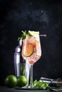 French orange mule, alcoholic cocktail with vodka, lime juice, ginger beer, syrup, red orange juice and ice cubes, garnished with Royalty Free Stock Photo