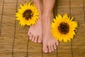 French pedicure Royalty Free Stock Photo