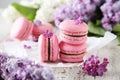 French pink macarons