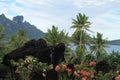 French polynesia, Borabora Island Nature, France Royalty Free Stock Photo