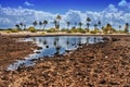 French Polynesia. Coral fields and palm trees. Royalty Free Stock Photo