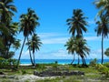 French Polynesia - Fakarava: Sanctuary Marae