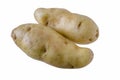 French potato cultivar La Ratte, isolated