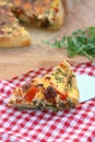 French quiche with cheese Royalty Free Stock Photo