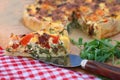 French quiche with cheese Royalty Free Stock Photo