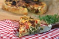 French quiche with cheese Royalty Free Stock Photo