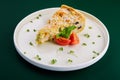 french quiche pie with chicken and mushroom Royalty Free Stock Photo