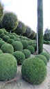 French regular garden. Amboise