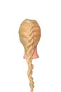 French Rope Braid on blonde mannequin