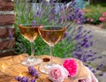 French rose wine from Provence, two glasses of wine with purple lavender flowers on background